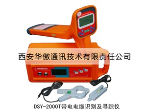 DSY-2000TʶѰ